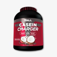 tesla_casein_charger3