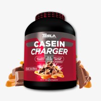tesla_casein_charger